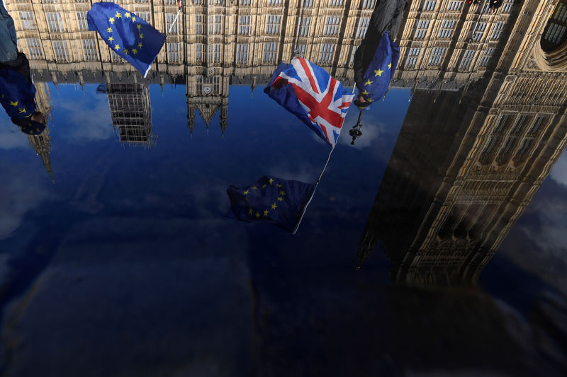 © Reuters. Anti-Brexit demonstrators waving EU and Union flags are reflected in a puddle in front of the Houses of Parliament in London