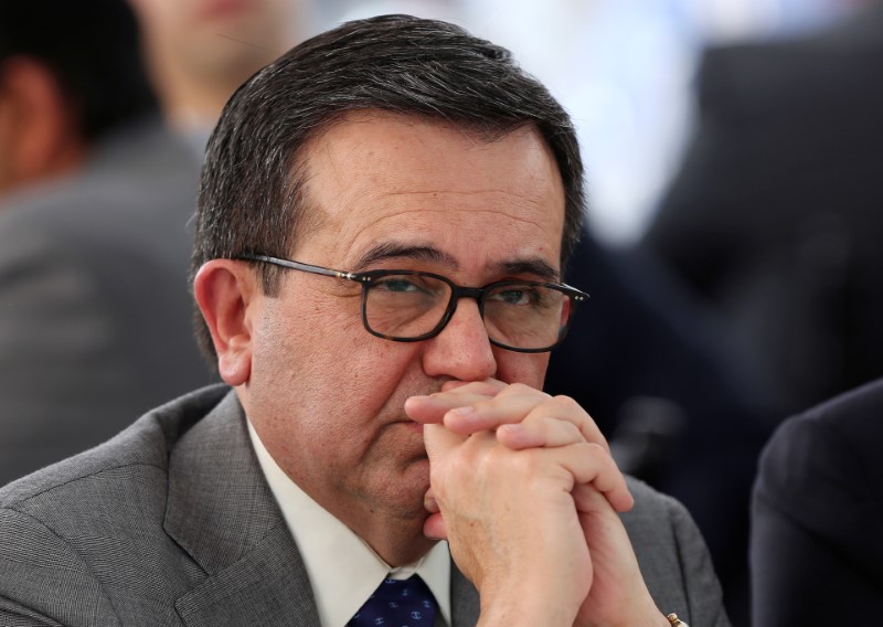 © Reuters. Mexico's Economy Minister Ildefonso Guajardo attends a meeting with the Mexican Iron and Steel Industry Chamber in Mexico City