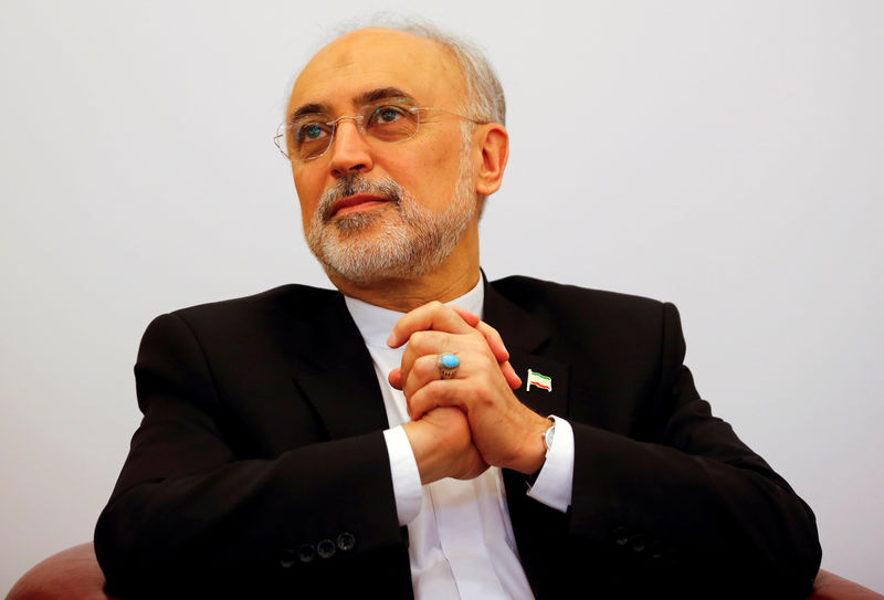 © Reuters. FILE PHOTO: Head of the Iranian Atomic Energy Organization Ali Akbar Salehi attends a lecture in Vienna