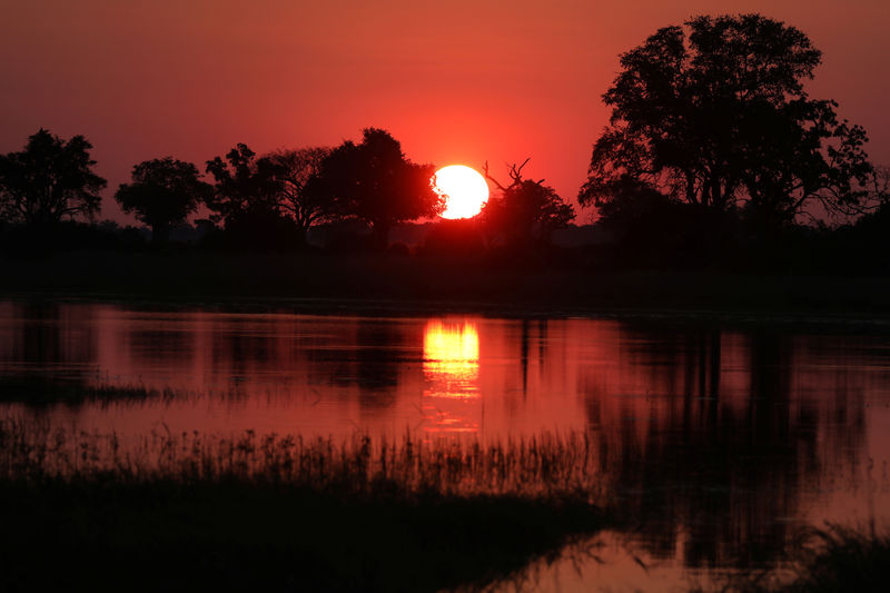 © Reuters. Pôr do sol no Delta do Okavango, em Botsuana