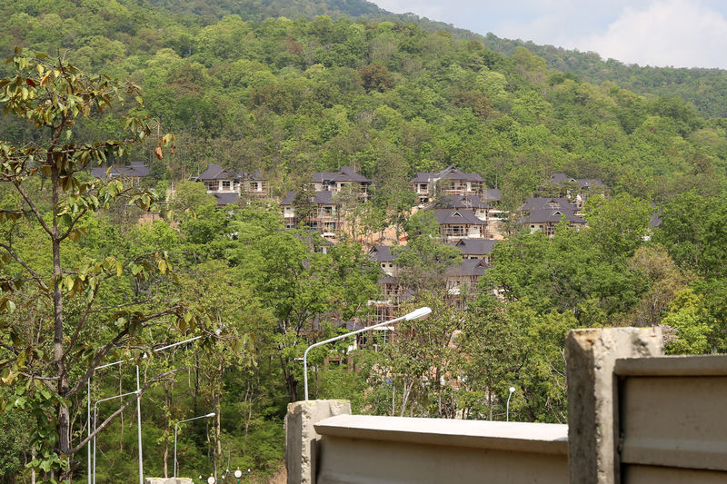 © Reuters. حكومة تايلاند تعقد محادثات مع نشطاء عارضوا بناء مشروع سكني داخل غابة