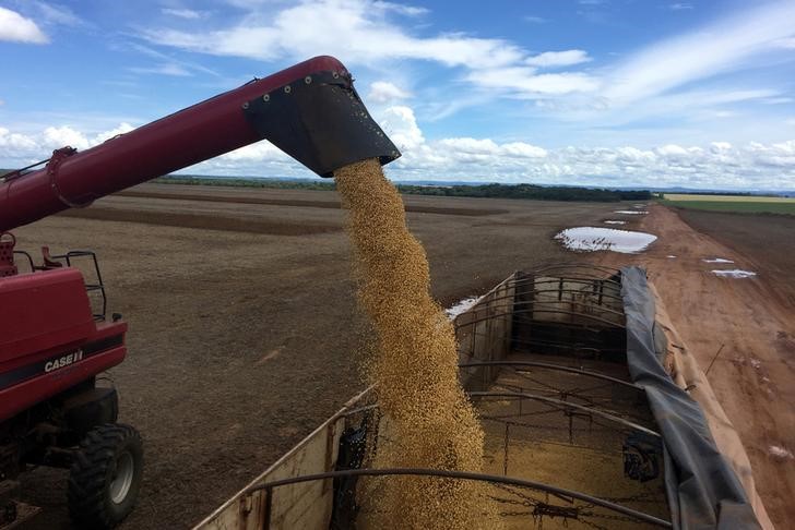 © Reuters. Caminhão é abastecido com soja em fazenda de Porto Nacional, Tocantins