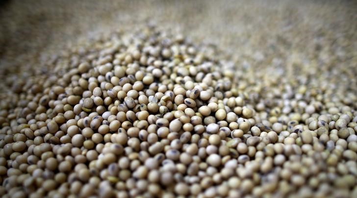 © Reuters. Grãos de soja em galpão de armazenamento