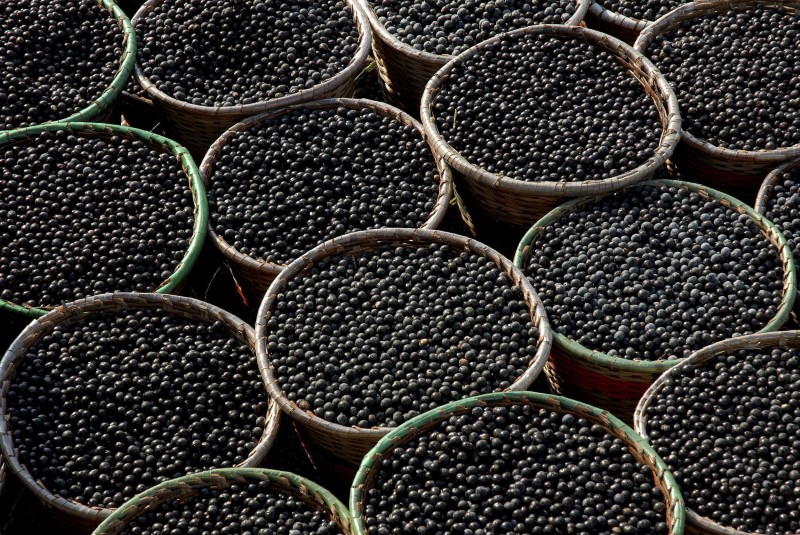 © Reuters. FILE PHOTO: Baskets of acai berries sit on a truck waiting to be taken to market in Abaetetuba