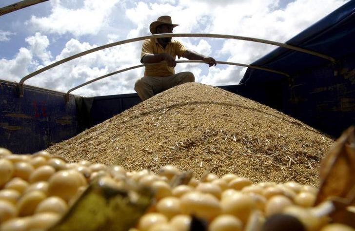 © Reuters. Caminhão carregando grãos de soja no Mato Grosso