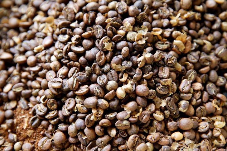 © Reuters. Grãos de café em Nyeri, Quênia