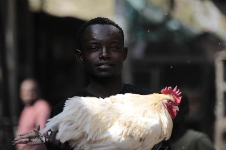© Reuters. Una persona posa con un pollo en sus manos en Gombe, Nigeria