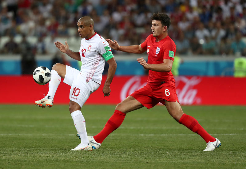 © Reuters. Un enjambre de mosquitos ataca a los jugadores en el partido Túnez-Inglaterra