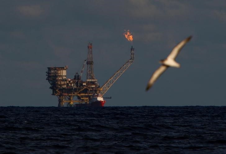 © Reuters. Чайка пролетает мимо нефтяной платформы на месторождении Эль-Боури в Средиземном море