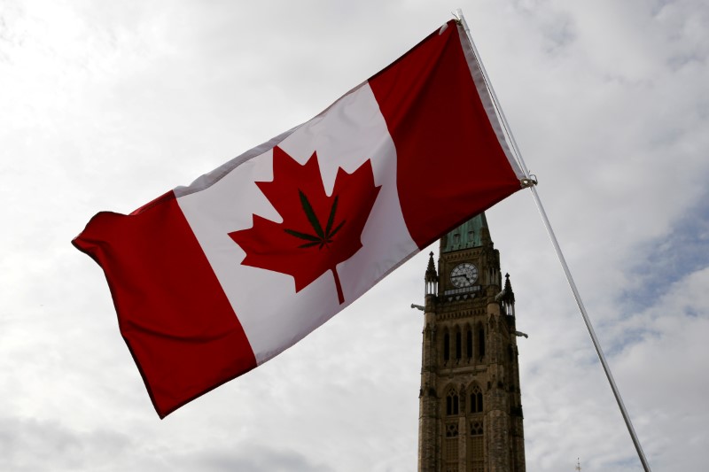 © Reuters. El Senado de Canadá aprueba el uso recreativo de la marihuana