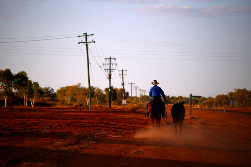 © Reuters. FILE PHOTO: A stockman rides his horse as he leads another down a road towards the cattle yards in the outback town of Windorah