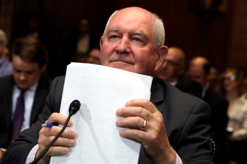 © Reuters. U.S. Agriculture Secretary Sonny Perdue testifies before a Senate Subcommittee in Washington