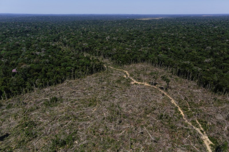 © Reuters. Visão aérea de área desmatada em Apuí, Amazonas