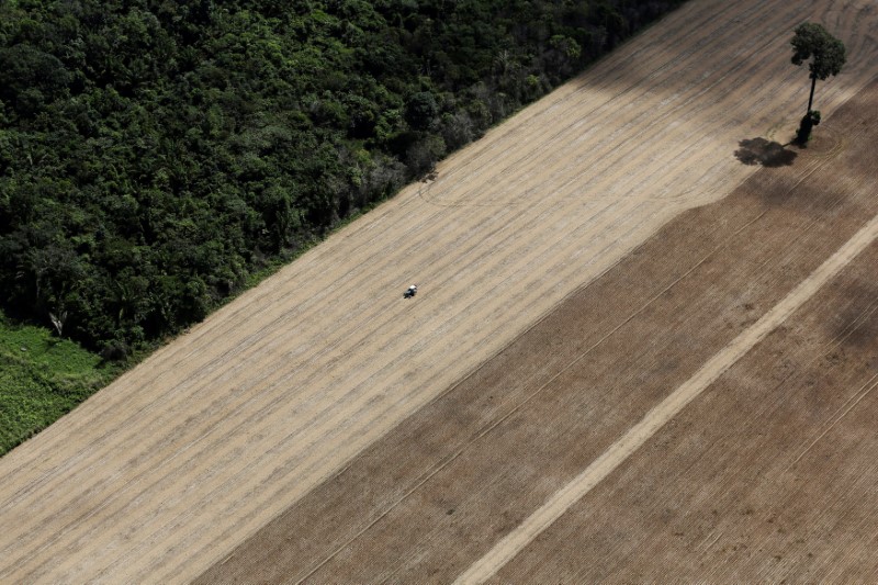 © Reuters. Trator em plantação de trigo em Santarém, no Pará