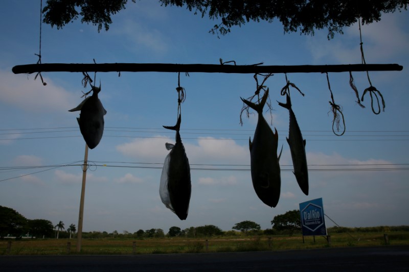 © Reuters. Fish for sell is seen in Paraiso