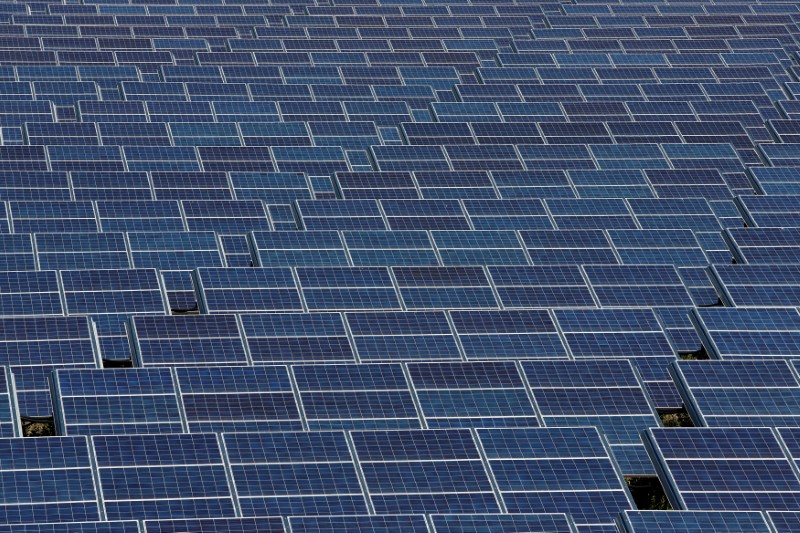 © Reuters. FILE PHOTO: Solar panels to produce renewable energy are seen at the Urbasolar photovoltaic park in Gardanne