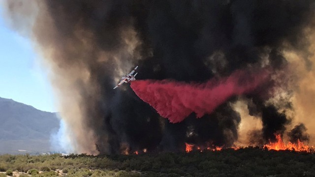 © Reuters. Avião combate chamas de incêndio em floresta da Califórnia