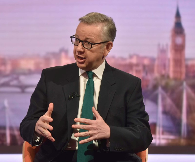 © Reuters. Britain's Environment Secretary Michael Gove speaks on the BBC's Andrew Marr Show in London