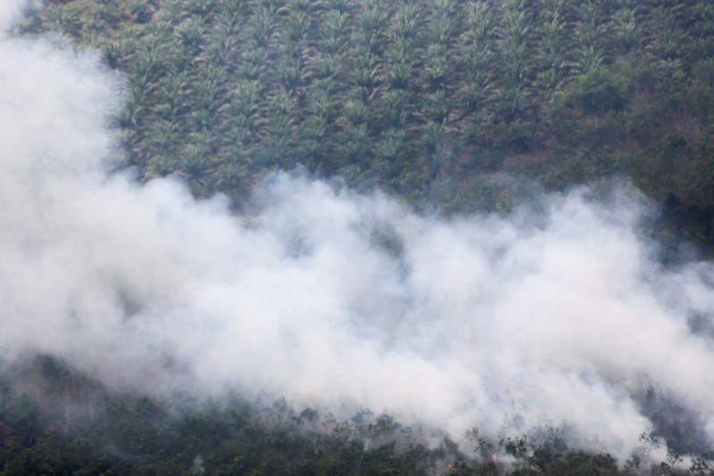 © Reuters. Aerial view of fire at palm oil plantation in Ogan Komering Ilir