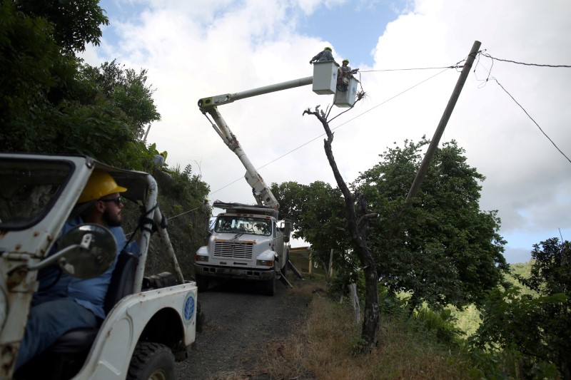 © Reuters. FILE PHOTO: Workers of Puerto Rico's Electric Power Authority (PREPA) repair part of the electrical grid, in Utuado