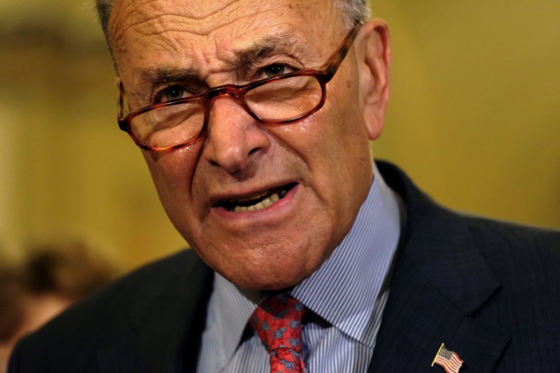 © Reuters. U.S. Senate Minority Leader Chuck Schumer (D-NY) speaks to reporters at the Capitol in Washington