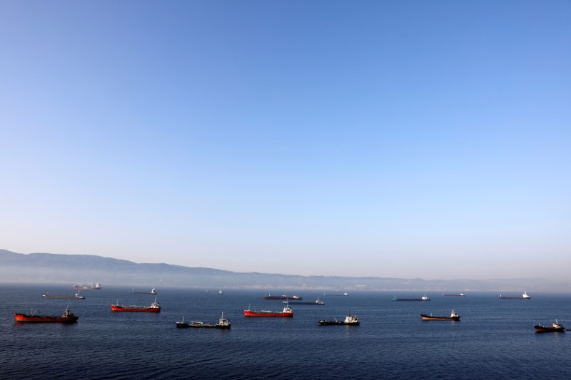 © Reuters. FILE PHOTO: Oil tankers wait to dock at Tupras refinery near the northwestern Turkish city of Izmit