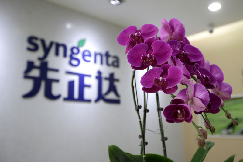 © Reuters. Syngenta logo is seen at its China headquarters in Beijing