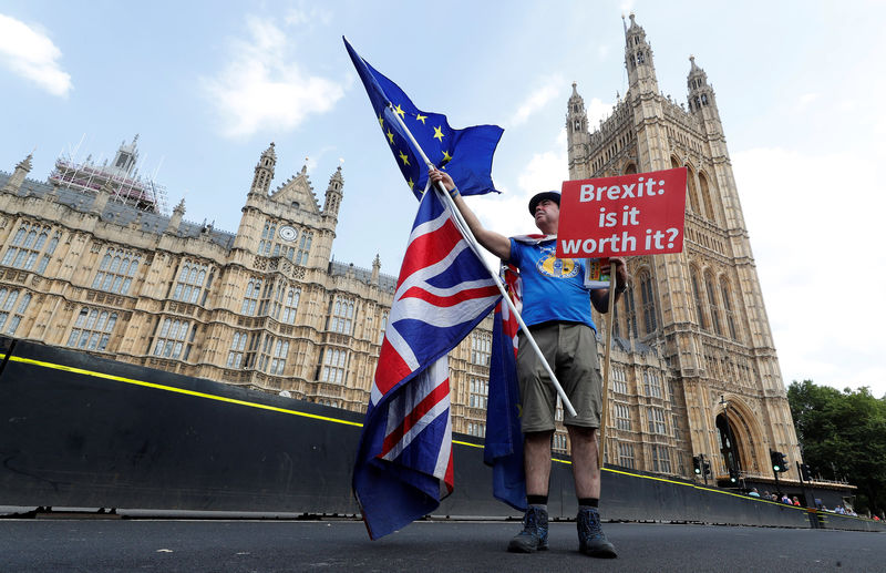 © Reuters. A man holds an anti-Brexit banner on Westminster Bridge, in central London