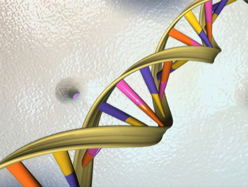 © Reuters. FILE PHOTO: A DNA double helix is seen in an undated artist's illustration released by the National Human Genome Research Institute