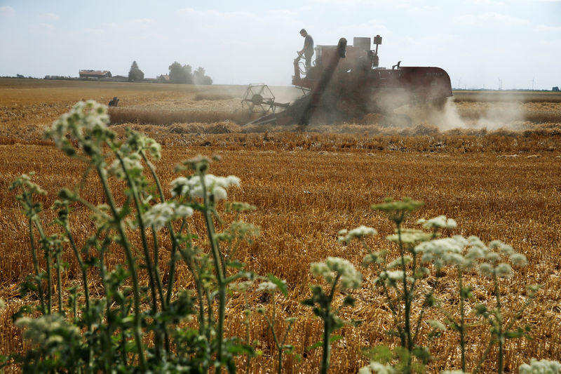 © Reuters. LA FRANCE VEUT FAUCHER LES ZONES PROTÉGÉES POUR AIDER LES AGRICULTEURS