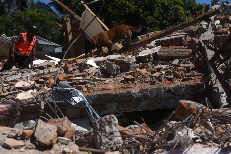 © Reuters. Policial e cão farejador procuram vítimas em meio a destroços de prédio destruído por terremoto em Lombok, na Indonésia