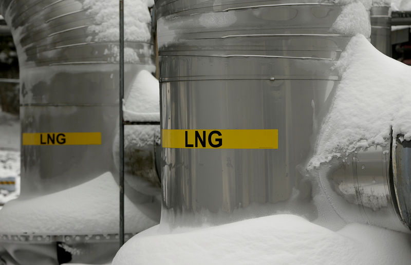 © Reuters. FILE PHOTO: Snow covered transfer lines are seen at the Dominion Cove Point Liquefied Natural Gas terminal in Maryland