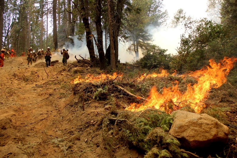 © Reuters. Bombeiros combatem incêndio florestal na Califórnia