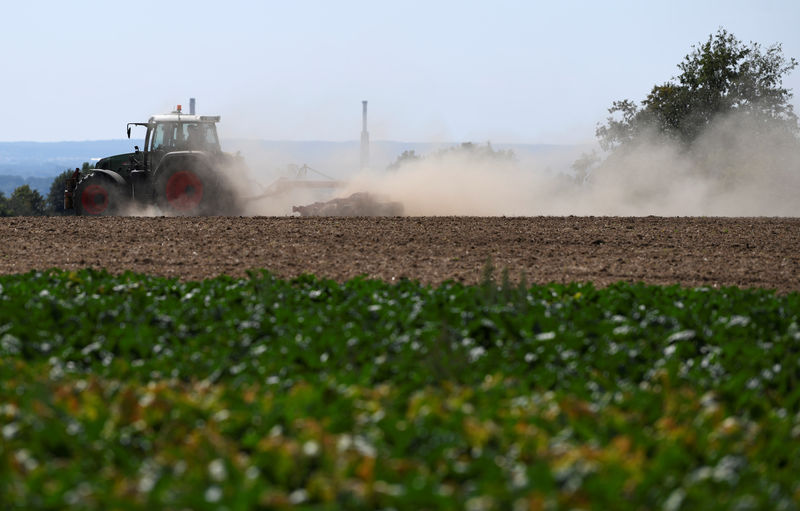 © Reuters. A tractor ploughs a dried-up field near Ingolstadt