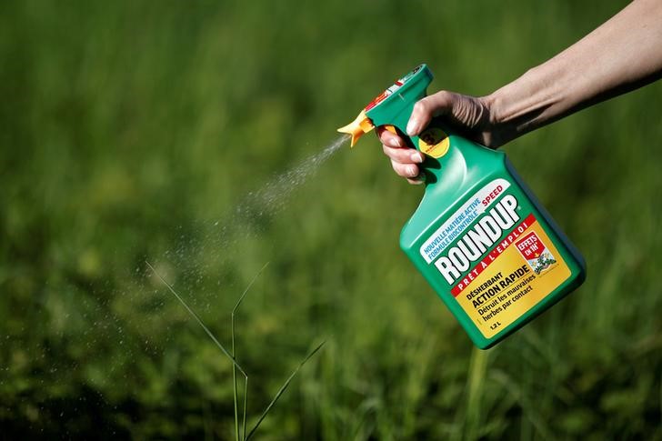 © Reuters. FILE PHOTO:    A woman uses a Monsanto's Roundup weedkiller spray without glyphosate in a garden in Ercuis near Paris