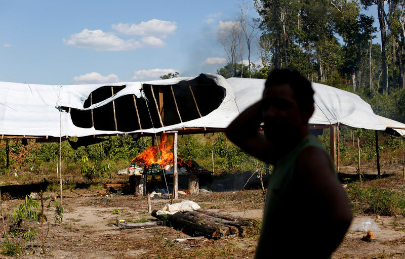 © Reuters. FILE PHOTO: A man reacts as an illegal logging camp is burnt during "Operation Green Wave" conducted by the Brazilian Institute for the Environment and Renewable Natural Resources, or Ibama, to combat illegal logging in Apui