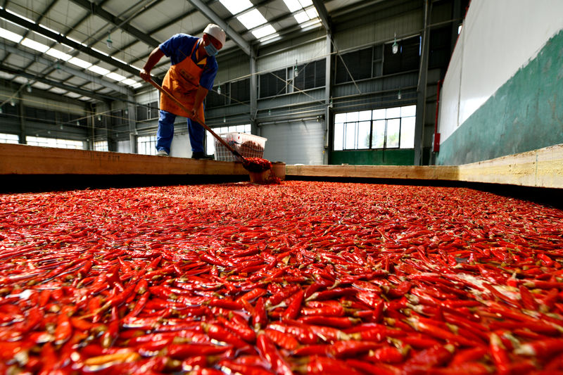 © Reuters. Worker scoops red chilli peppers at a processing plant in Zunyi