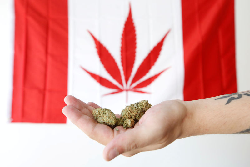 © Reuters. FILE PHOTO: An employee holds marijuana in front of a modified Canadian flag with a marijuana leaf in Ottawa