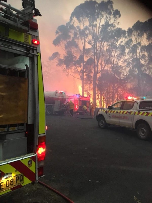 © Reuters. مصرع طيار أثناء إخماد حرائق غابات في استراليا