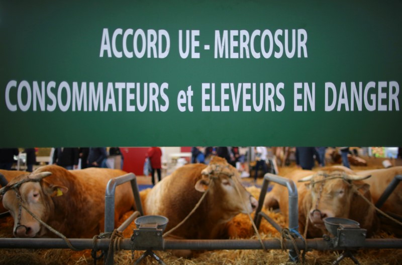 © Reuters. Cartaz em protesto contra acordo entre a União Europeia e o Mercosul é exibido durante o agrishow internacional de Paris