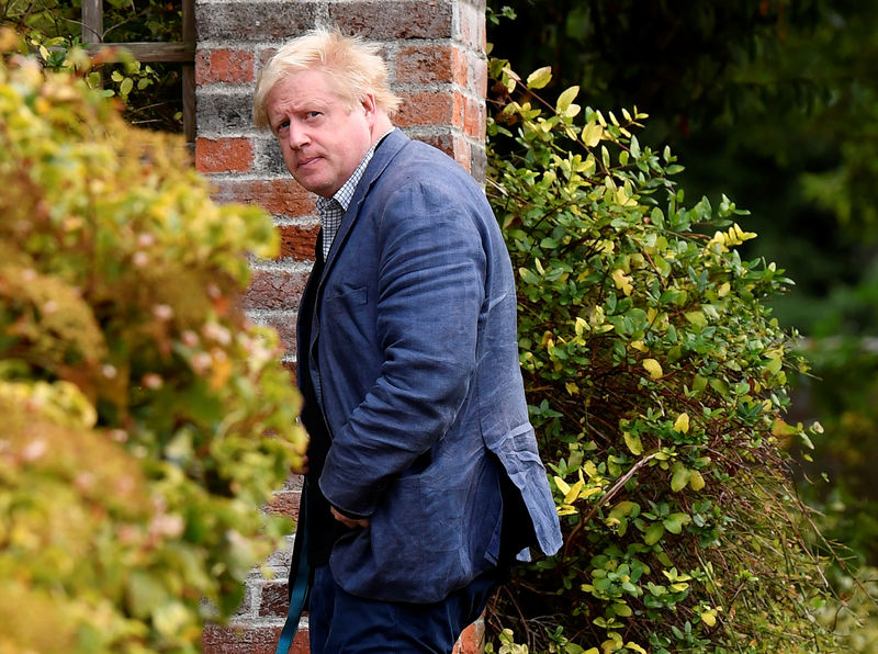 © Reuters. FILE PHOTO: Conservative MP Boris Johnson walks through his garden at his home near Oxford