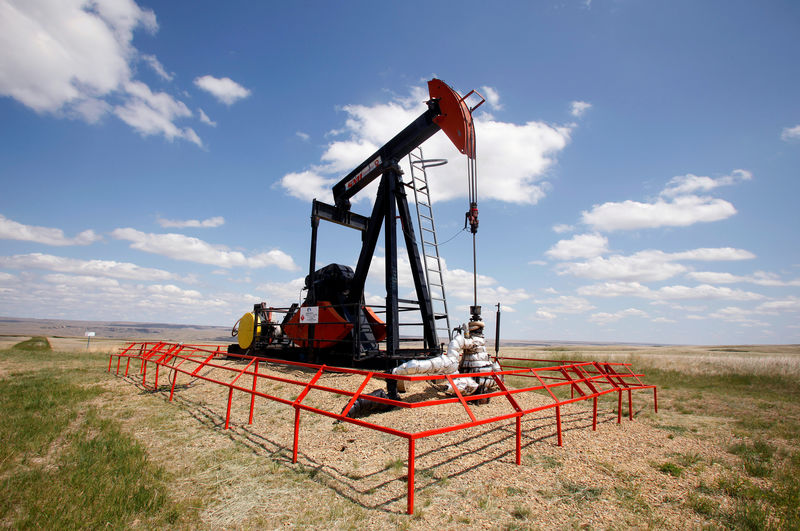 © Reuters. FILE PHOTO: A Canadian Natural Resources pump jack pumps oil out of the ground near Dorothy