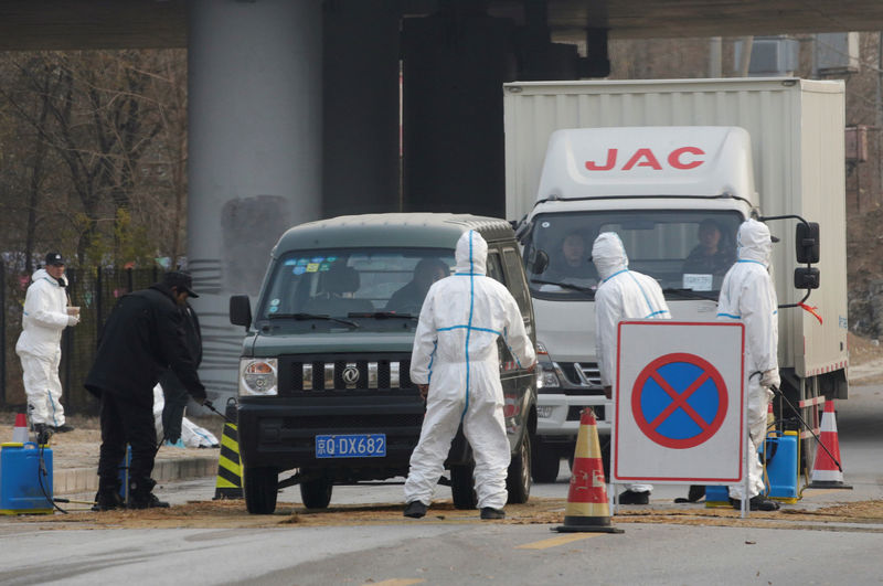 © Reuters. الصين تعلن عن بؤرة جديدة لإنفلونزا الخنازير الأفريقية