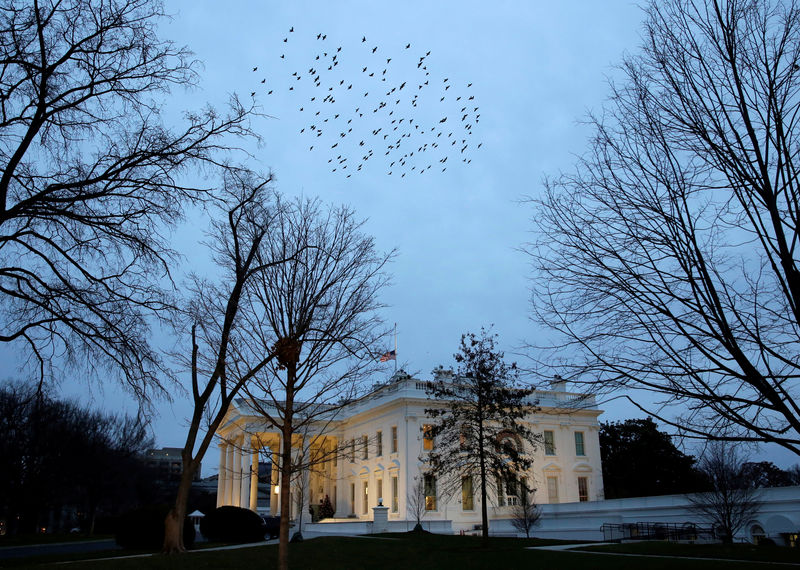 © Reuters. A flock of birds flies over the White House in Washington.