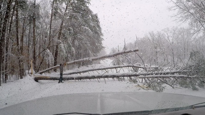 © Reuters. A man cuts a fallen tree blocking a road in Landrum, North Carolina, U.S