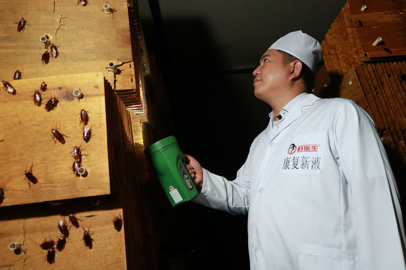 © Reuters. Millones de cucarachas trabajan triturando residuos alimenticios en China