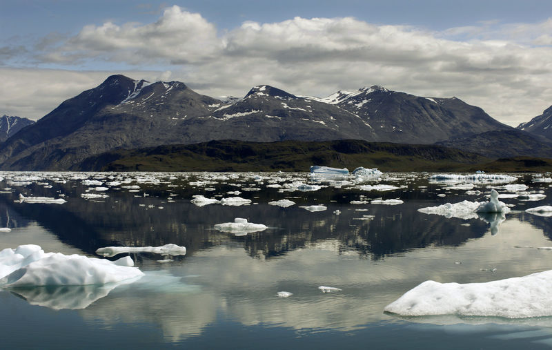 © Reuters. Icebergs em Narsarsuaq, na Groenlândia