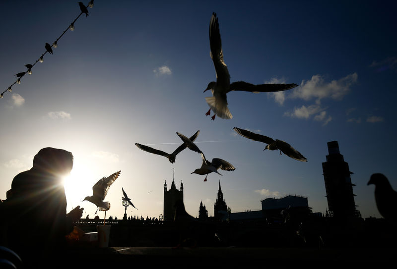 © Reuters. Seagulls fly over the South Bank opposite the Houses of Parliament in London