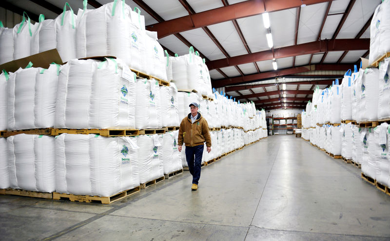 © Reuters. FILE PHOTO:    Ziegler, plant manager at Peterson Farm Seed facility walks through a storage warehouse stacked with bulk tote bags of soybeans ready for shipment, in Fargo