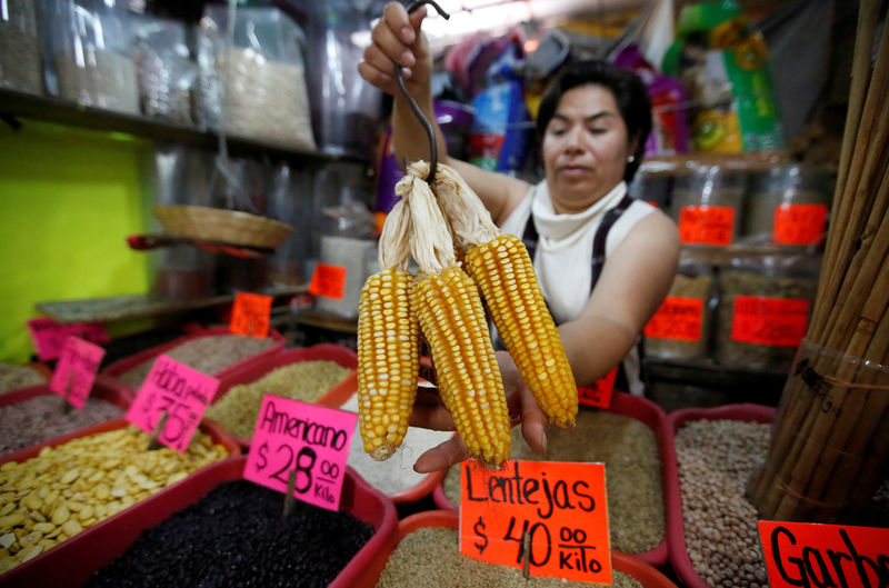 © Reuters. FILE PHOTO: A vendor shows corn cobs at a market in Mexico City